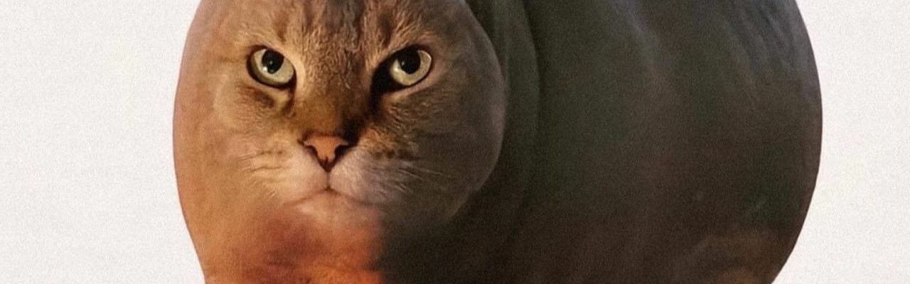 Картинка-подпись