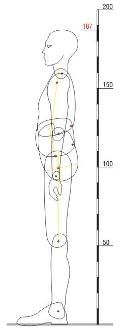 Описание: C:Users--DesktopМАМАЭРГОНОМИКАпособияшаблон 95-й процентиль.jpg