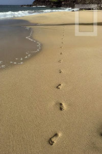 Описание: рис. 9.3.2