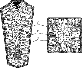 Описание: image011