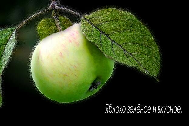 Описание: IMG_0636-4