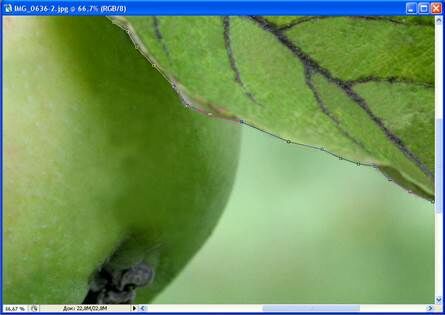 Описание: Путь лист