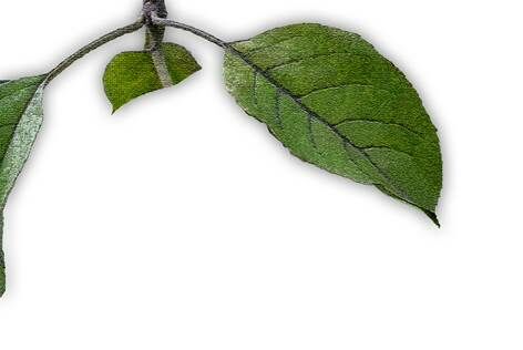 Описание: IMG_0636-3 копия