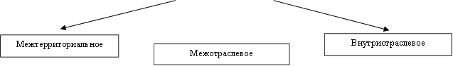 Межтерриториальное ,Межотраслевое,Внутриотраслевое&#13;&#10;&#13;&#10;