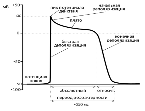 Описание: пд.png