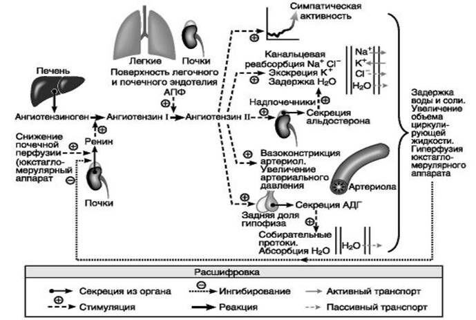 Описание: 14401.jpg