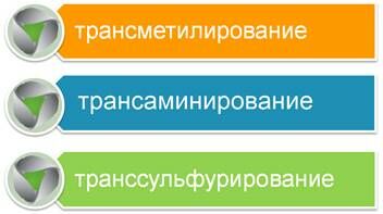 Описание: HEPTRAL_NEW