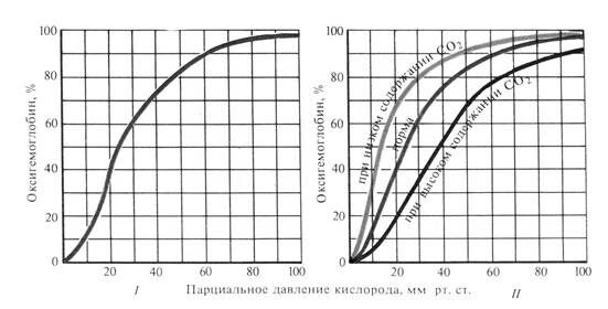 +Кривая диссоциации оксигемоглобина