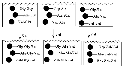 Описание: 31