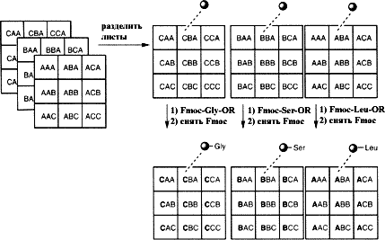 Описание: 36