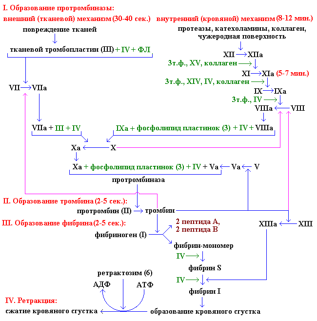 Описание: Hemostas
