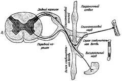 Описание: img5