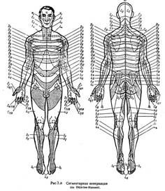 Описание: img3