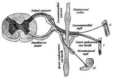 Описание: img6