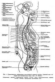 Описание: img1