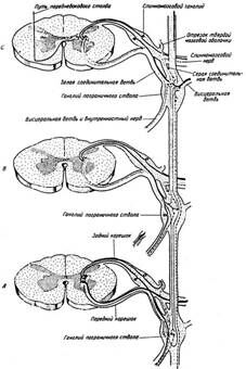 Описание: img7