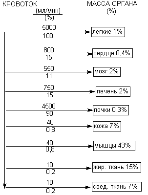 Описание: http://www.medline.ru/public/monografy/toxicology/p4-toxicokinetics/img/t-p77.gif