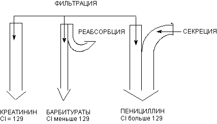 Описание: http://www.medline.ru/public/monografy/toxicology/p4-toxicokinetics/img/t-p138.gif