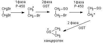 Описание: http://www.medline.ru/public/monografy/toxicology/p4-toxicokinetics/img/t-p82.gif