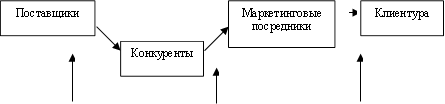 Поставщики,Конкуренты,Маркетинговые посредники,Клиентура