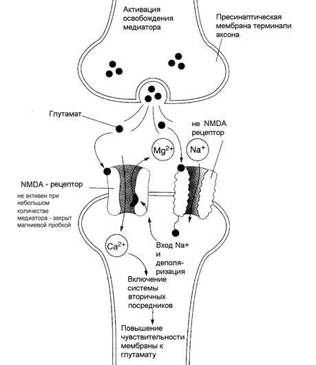 Описание: 逅矷�矶塵矵矧