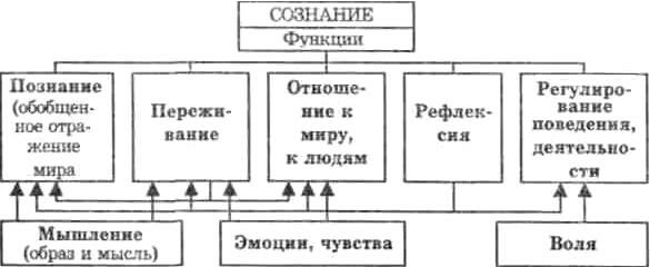 Описание: &amp;Fcy;&amp;ucy;&amp;ncy;&amp;kcy;&amp;tscy;&amp;icy;&amp;icy;, &amp;scy;&amp;vcy;&amp;ocy;&amp;jcy;&amp;scy;&amp;tcy;&amp;vcy;&amp;acy; &amp;scy;&amp;ocy;&amp;zcy;&amp;ncy;&amp;acy;&amp;ncy;&amp;icy;&amp;yacy;