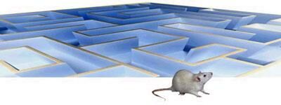 Описание: лабиринт