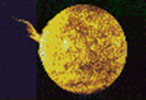 Описание: Протуберанец