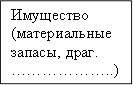 Имущество&#13;&#10;(материальные запасы, драг.&#13;&#10;………………..)&#13;&#10;
