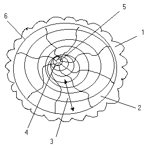 Описание: стр31