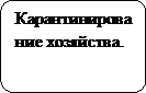 Блок-схема: альтернативный процесс: Карантинирование хозяйства.
