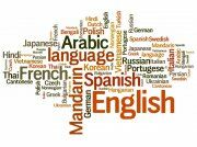 Какой язык учить легче всего и почему