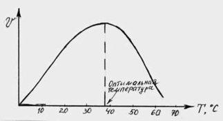 Влияние температуры на скорость ферментативной реакции