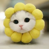 Пользователь abobavsem Пользователь abobavsem