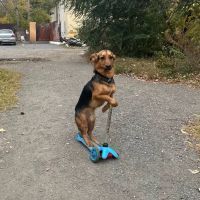 Аватар