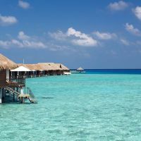 Пользователь studyhelp Пользователь studyhelp