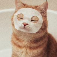 mmeowmmeow