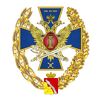 ВИ ФСИН России