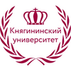 НГИЭИ в г. Нижний Новгород