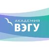 Академия ВЭГУ