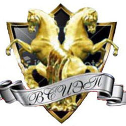 Студенческие работы ВСИЭП Учебные материалы ВСИЭП