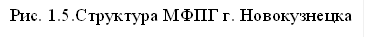 Рис. 1.5.Структура МФПГ г. Новокузнецка