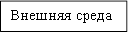 Внешняя среда 