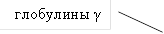 глобулины γ