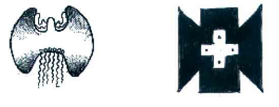 Чечено-ИНгушетия, 1 тыс. до н.э. – Италия, неолит