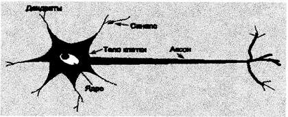 Описание: ~AUT0000