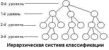 Иерархическая система классификации