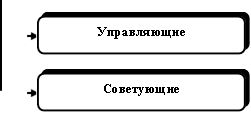 Управляющие,Советующие