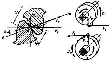 Описание: ЗП_Эв_прямозуб_силы