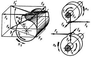 Описание: ЗП_Эв_косозуб_силы